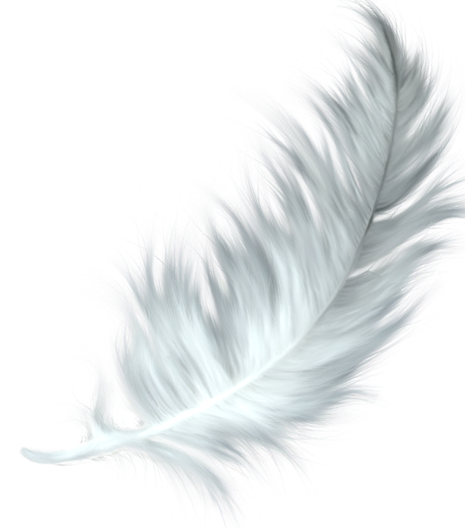 Espacio De Ángeles & Respuestas