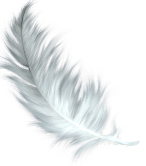 Espacio De Ángeles & Respuestas