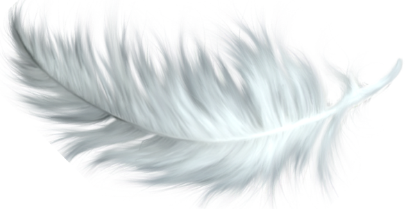 Espacio De Ángeles & Respuestas