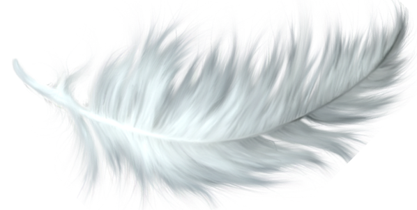 Espacio De Ángeles & Respuestas